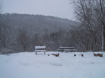 Park Benches